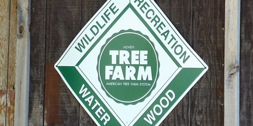 Timber Tax Filing for the 2016 Tax Year webinar Timber Tax Filing for the 2016 Tax Year webinar