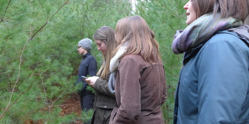 Woodland Connections for Women program and tour women touring a woodlot