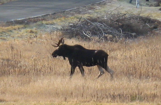 New Program to Pay Landowners in 28 Towns to Allow Public Access to Wildlife