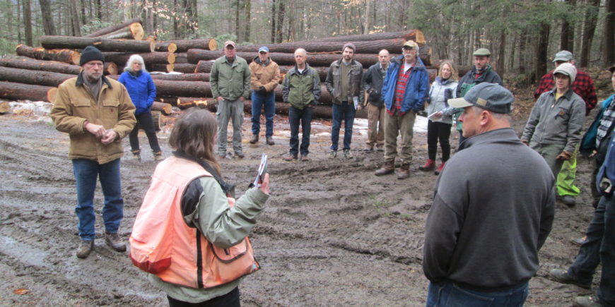Timber Harvest Tour in Hubbardston June 22nd