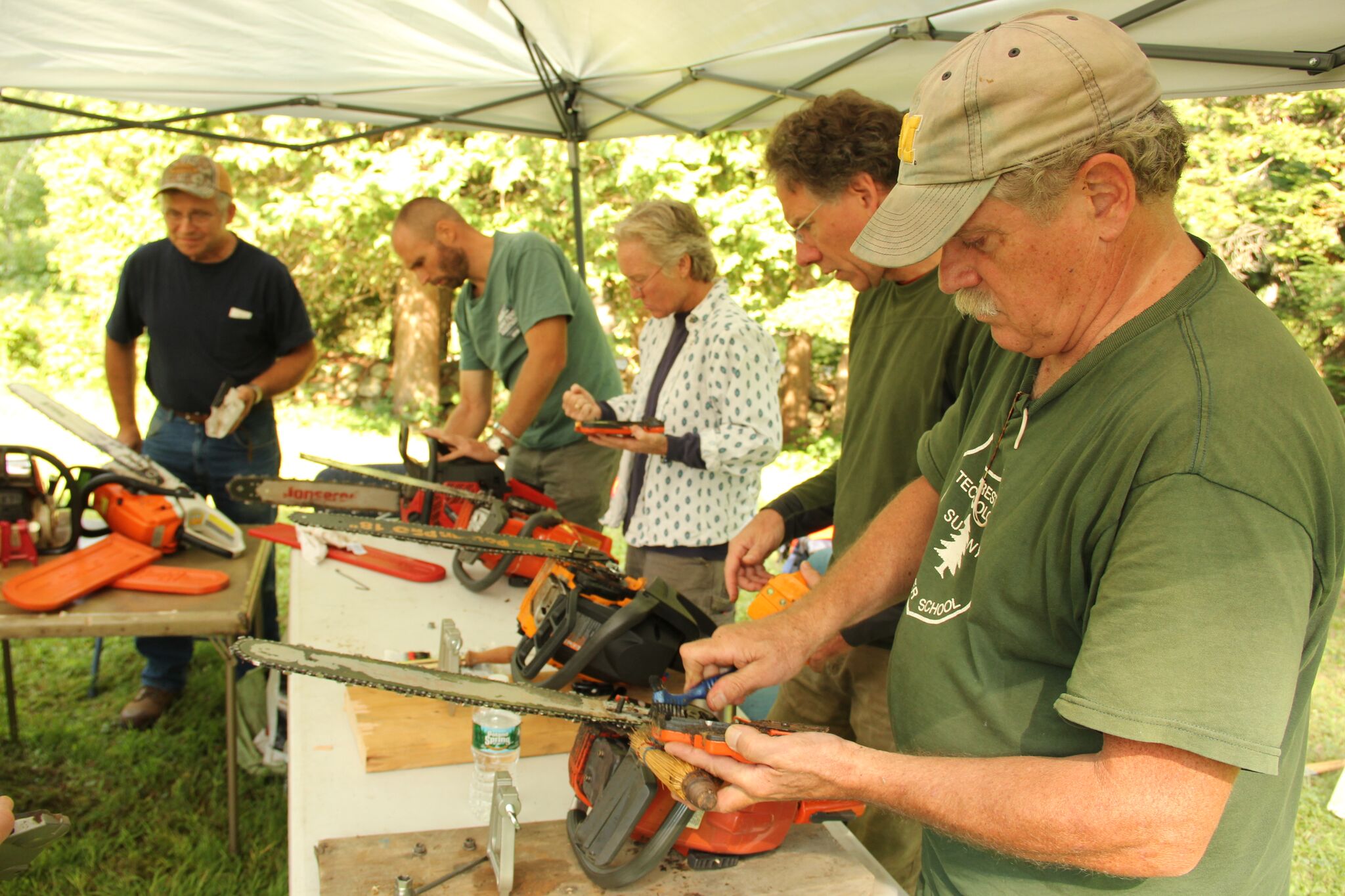 Game of Logging Massachusetts Forest Alliance
