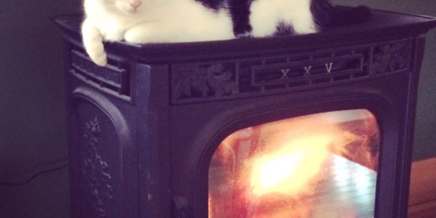 MassCEC Woodstove Change-Out Extended Until September 25th