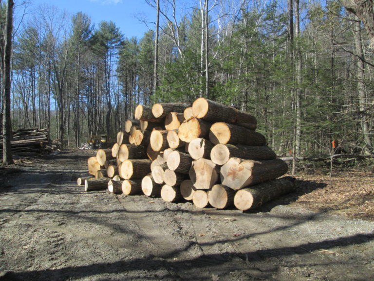 Commercial Forestry & Forest Products webinar Massachusetts Forest