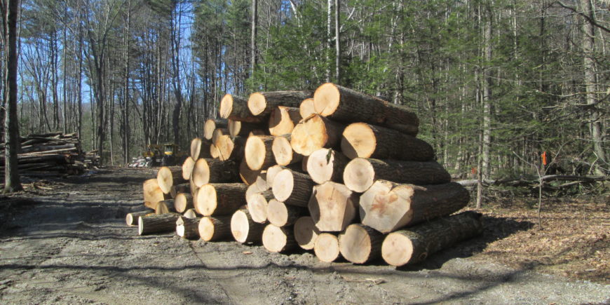 Wood Producers Council Meeting in Northampton March 5th