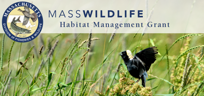 Grants Available to Landowners for Habitat Management