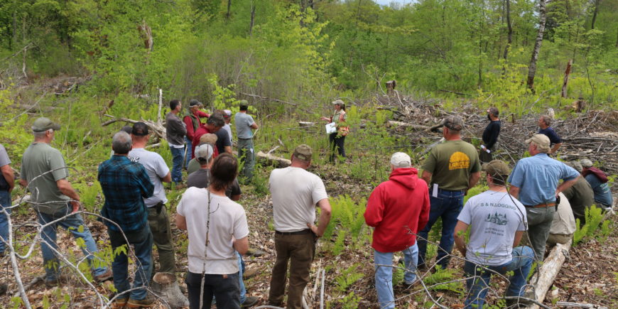 Forester/Harvester License Renewal Update