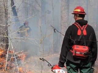 Forest Alliance Annual Meeting October 22nd in Westminster