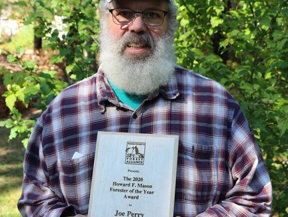 Joe Perry Named 2020 Massachusetts Forester of the Year