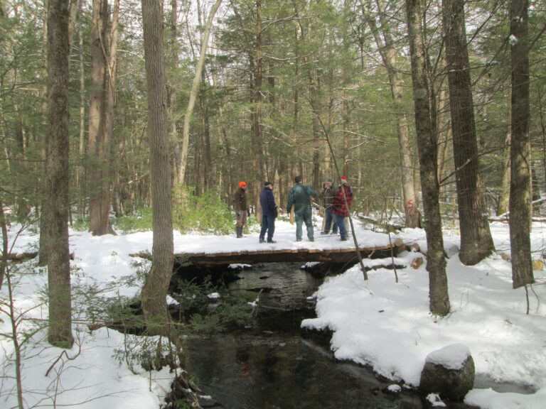 dcr-landscape-designations-management-guidelines-field-walk