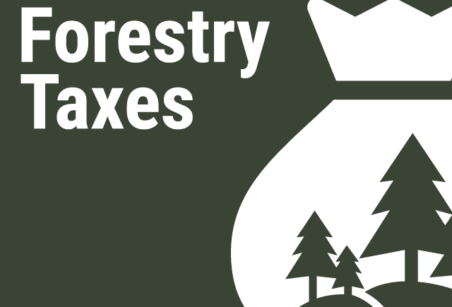 Woodland Tax Values Will Drop in FY 2025