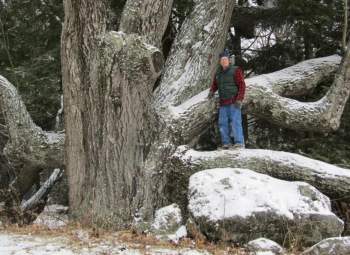 Big Trees of Northern New England program @ Lyme School