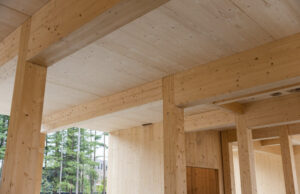 Mass Timber Structural Systems: Products and Framing Systems webinar @ online