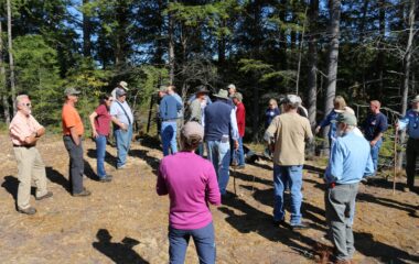 Come to the Tree Farm Field Day in Townsend on September 27th! Come to the Tree Farm Field Day in Townsend on September 27th!