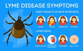 Talking about Ticks: Lyme Disease webinar @ online