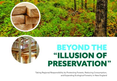 Beyond the “Illusion of Preservation” webinar @ online