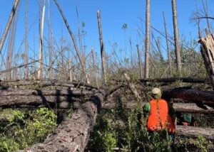 Vermont Disaster Assistance Program webinar @ online