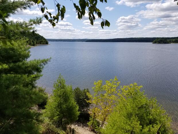Wachusett Reservoir Forestry Projects Information Session @ John Augustus Hall