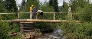 Center Pier Wilderness Bridge Construction webinar @ online