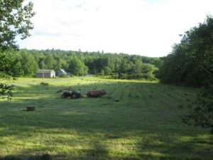 Hayland and Pasture Management for Conservation & Birds program @ Town Hall