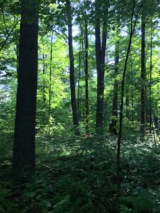 2026 Foresters Council Meeting @ Bluebonnet Restaurant