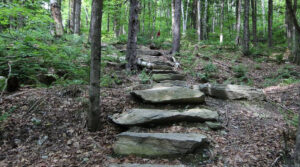 Stonework for Trails webinar @ online