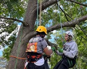 Canopy Exploration workshop @ Merck Farm & Forest Center